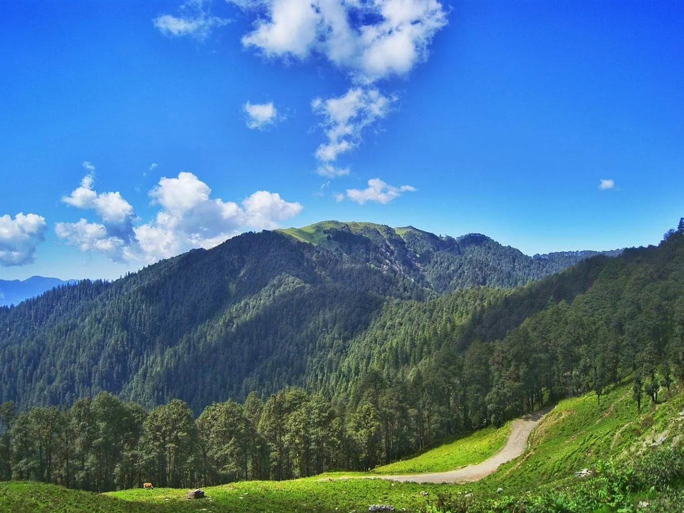 Delhi to Jalori Pass outstation journey view - view 4