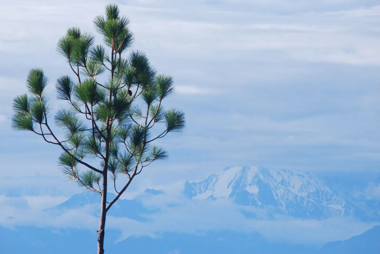Delhi to Binsar outstation journey view - view 2
