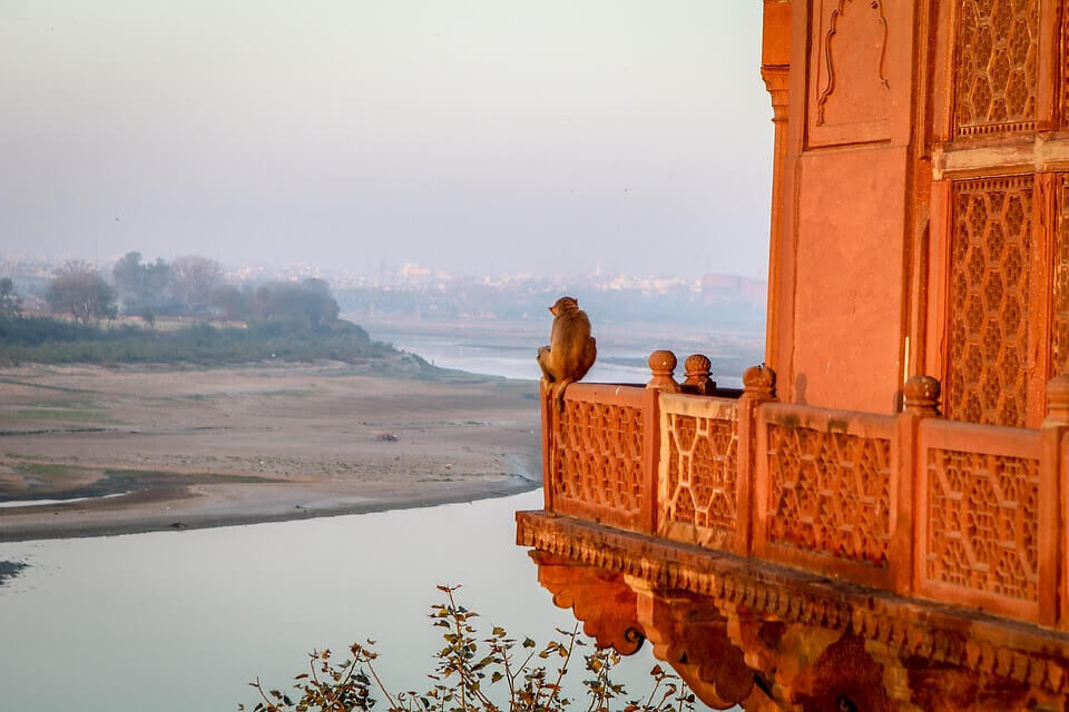 Delhi to Agra outstation journey view - view 3