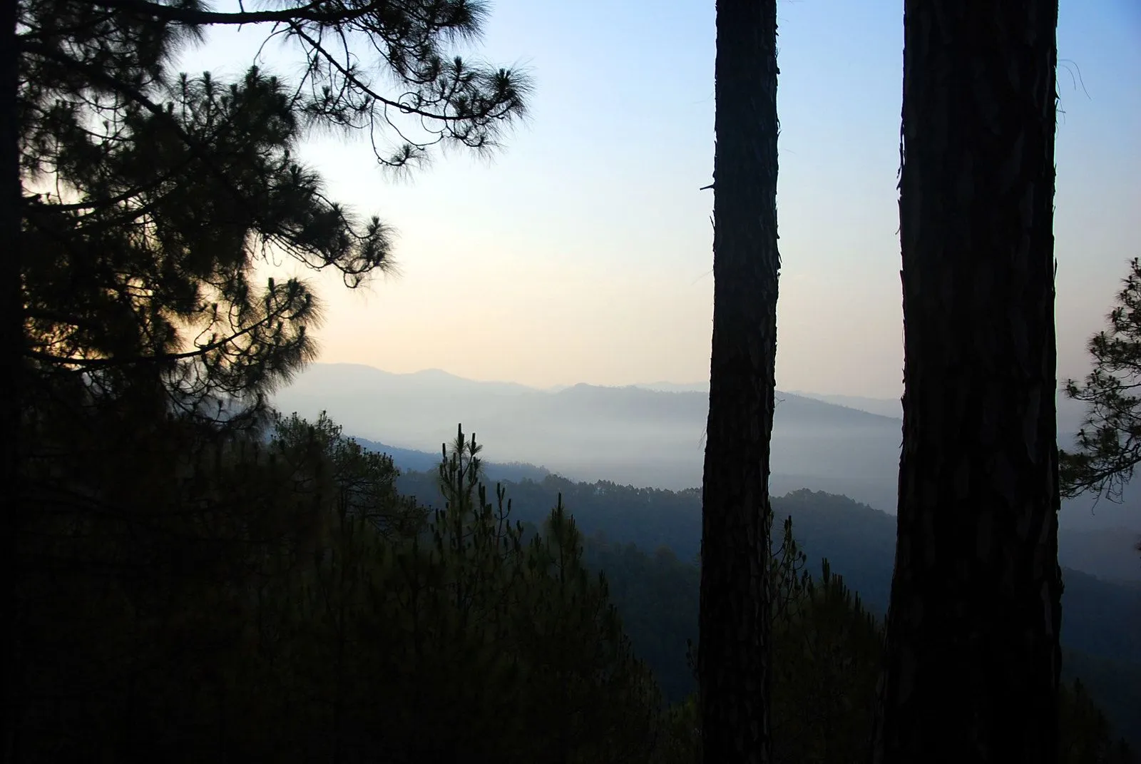 Delhi to Binsar outstation journey view - view 5