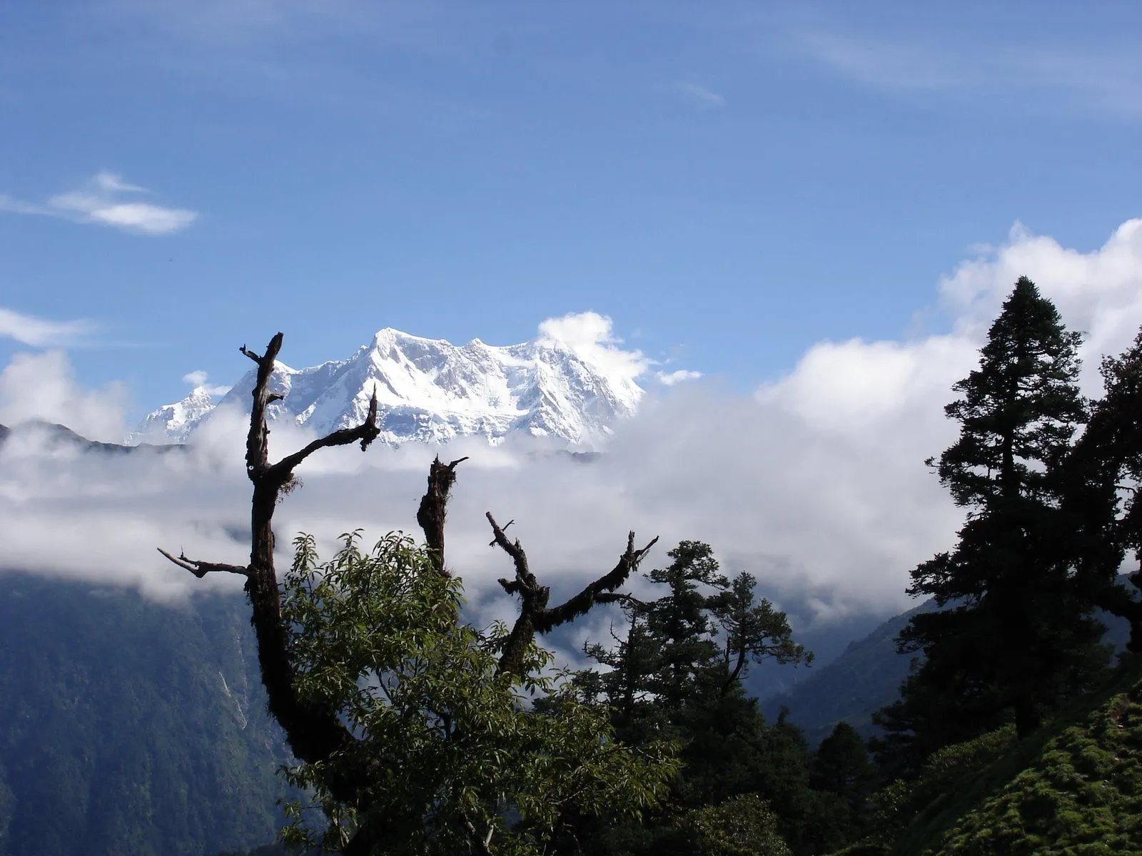 Delhi to Chopta Tungnath outstation journey view - view 6