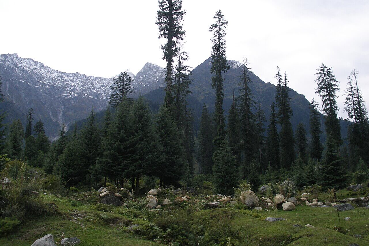 Delhi to Solang Valley outstation journey view - view 8