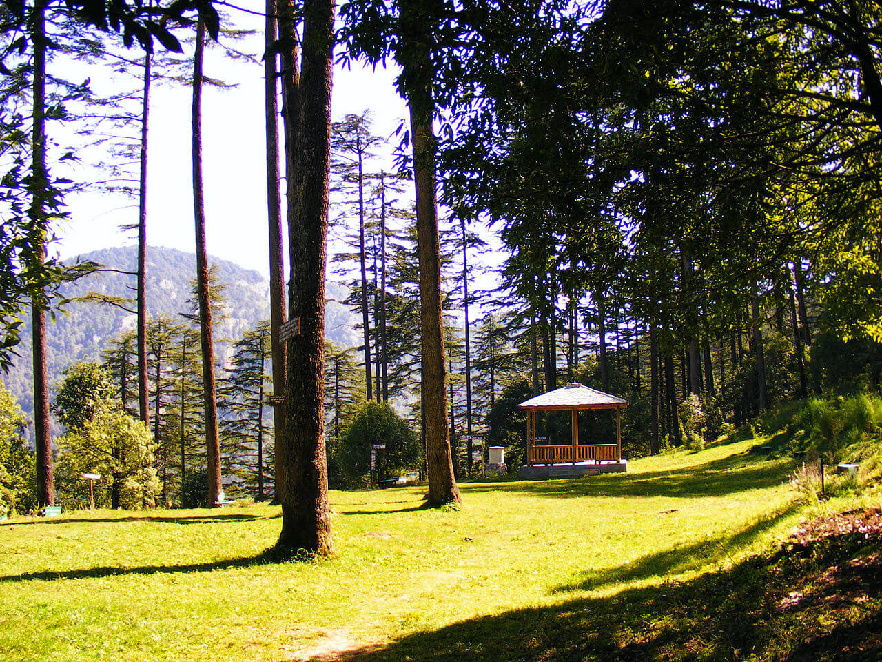 Delhi to Dhanaulti outstation journey view - view 2