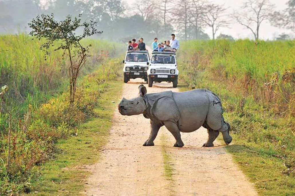Delhi to Jim Corbett National Park outstation journey view - view 3