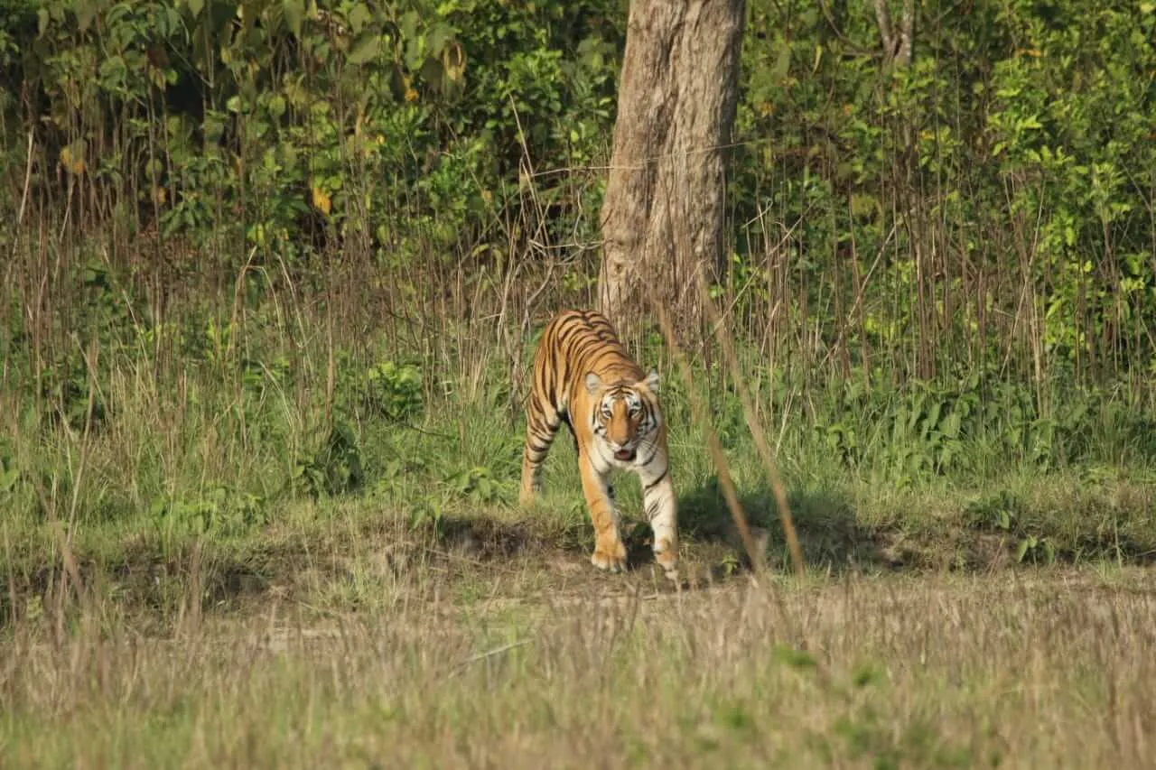 Delhi to Jim Corbett National Park outstation journey view - view 2