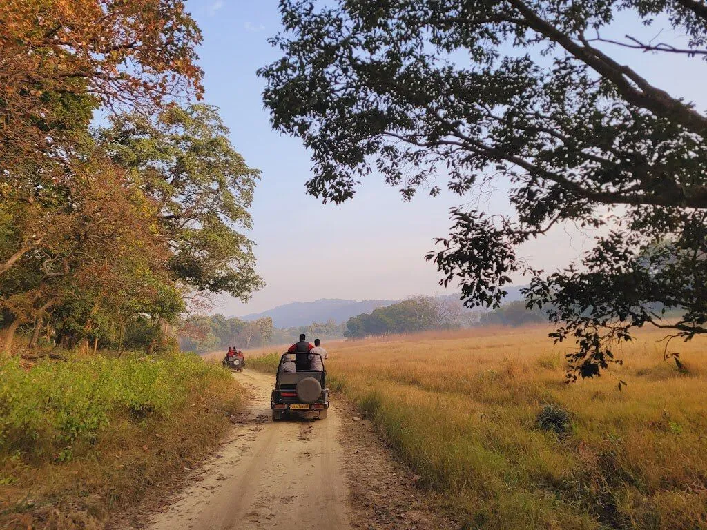 Delhi to Jim Corbett National Park outstation journey view - view 6