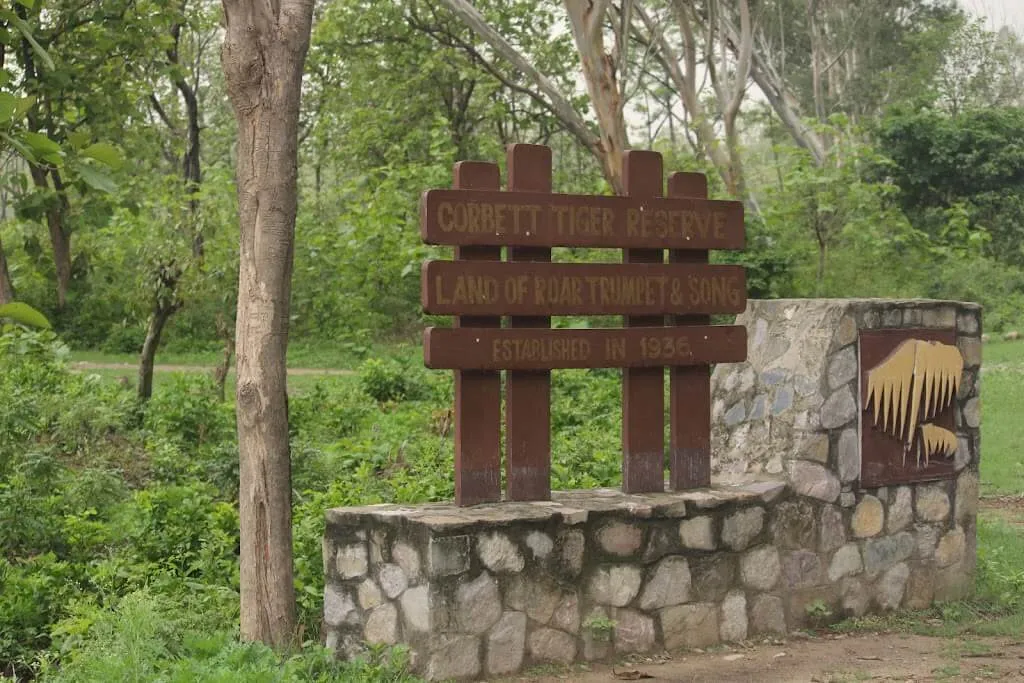 Delhi to Jim Corbett National Park outstation journey view - view 8
