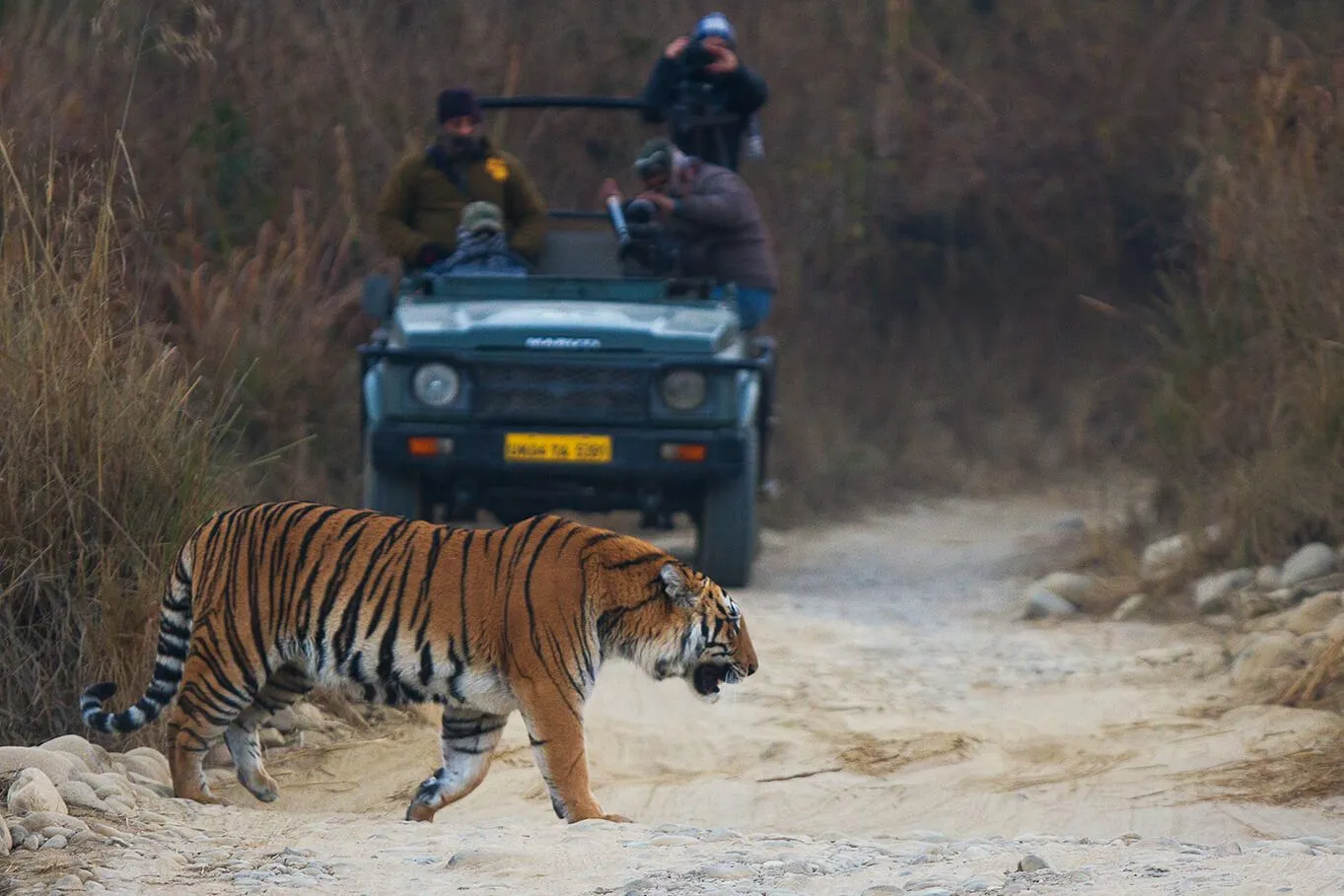 Delhi to Jim Corbett National Park outstation journey view - view 17