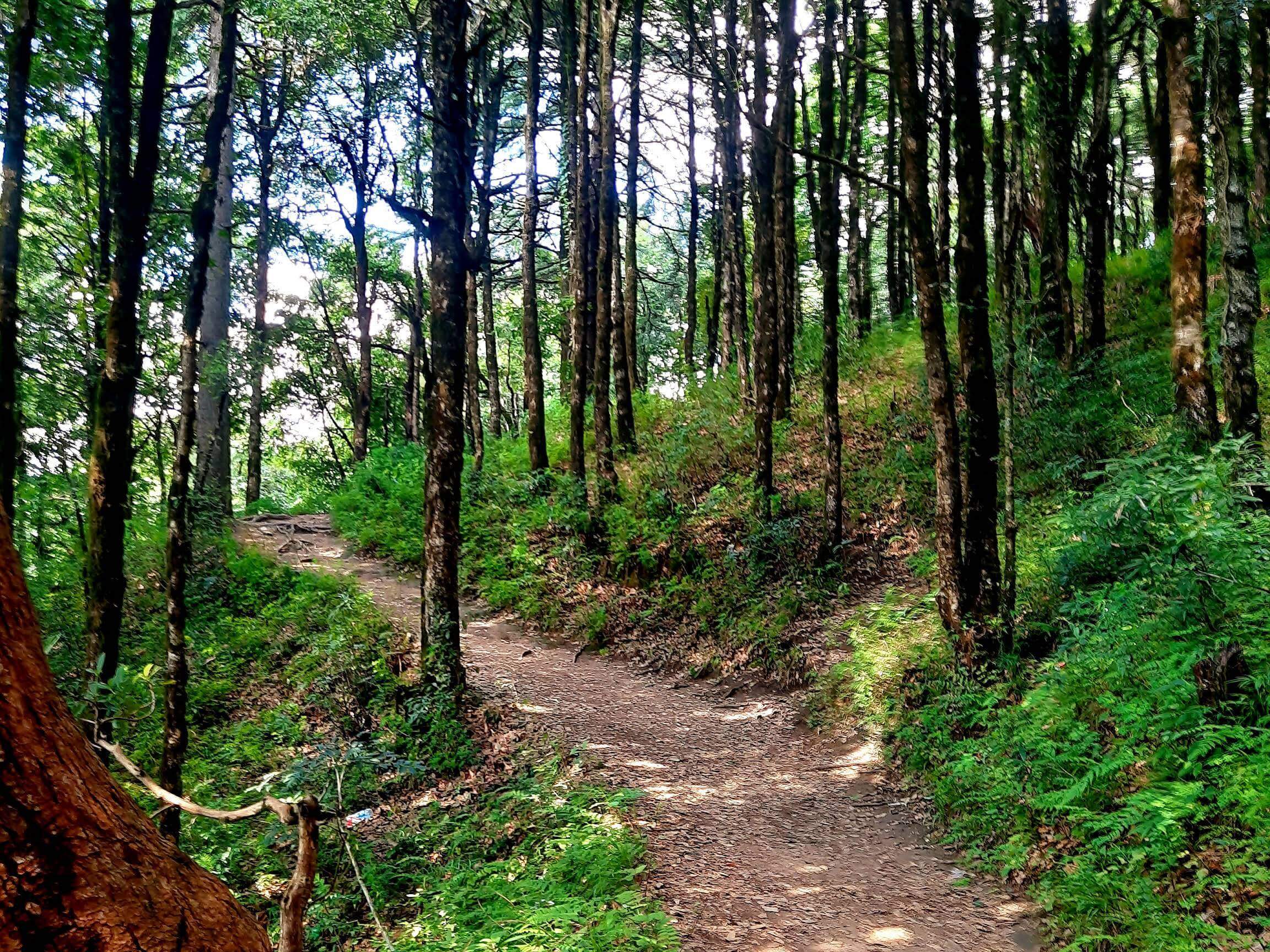Delhi to Mukteshwar outstation journey view - view 9