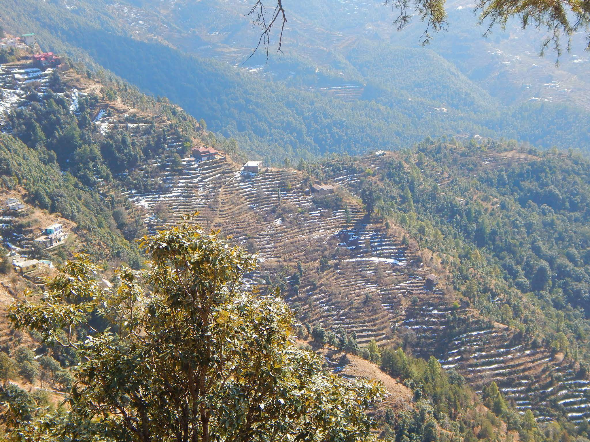 Delhi to Mukteshwar outstation journey view - view 11