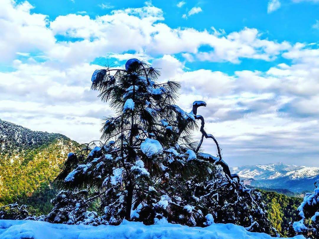 Delhi to Mukteshwar outstation journey view - view 3