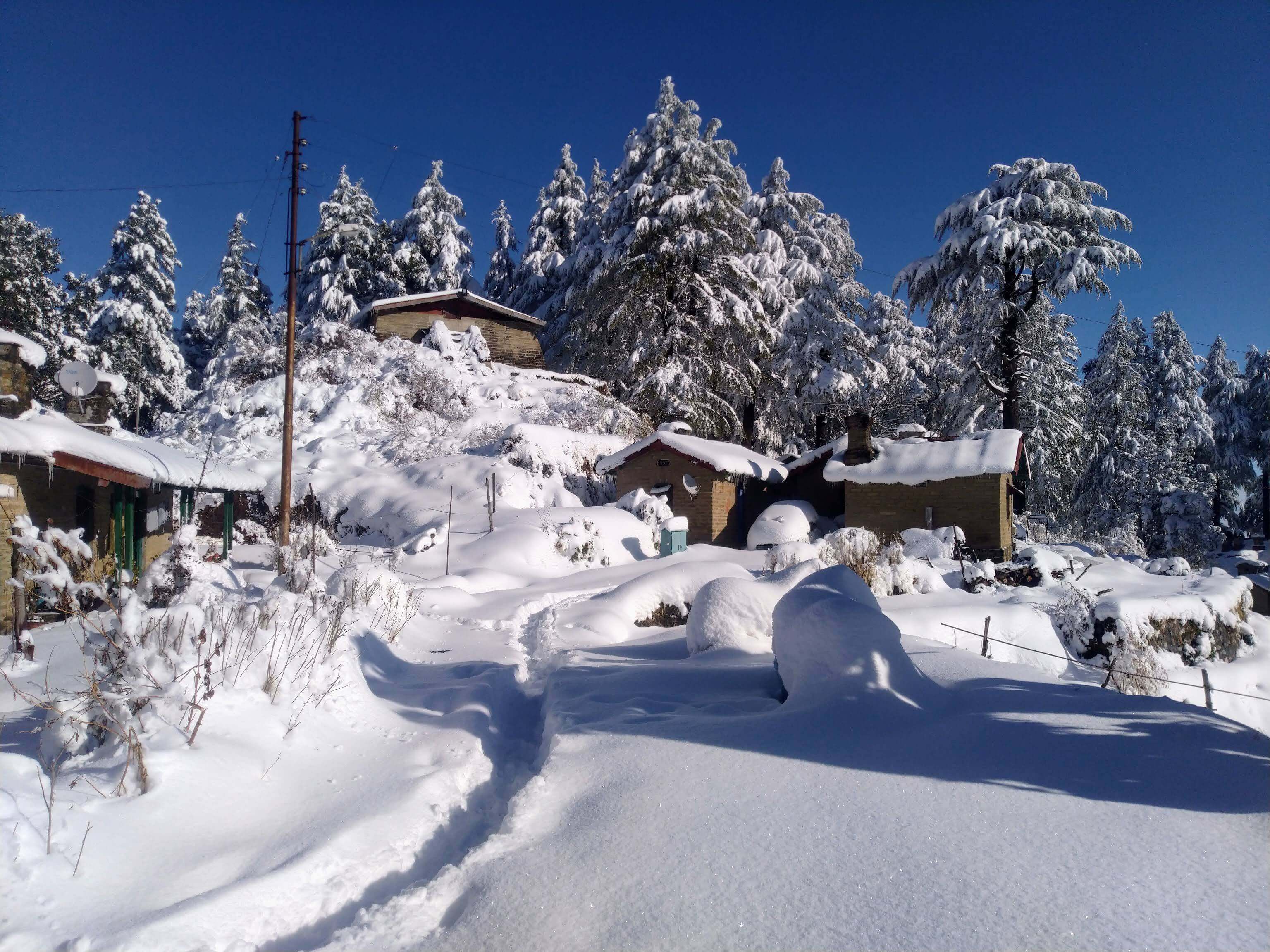 Delhi to Mukteshwar outstation journey view - view 7